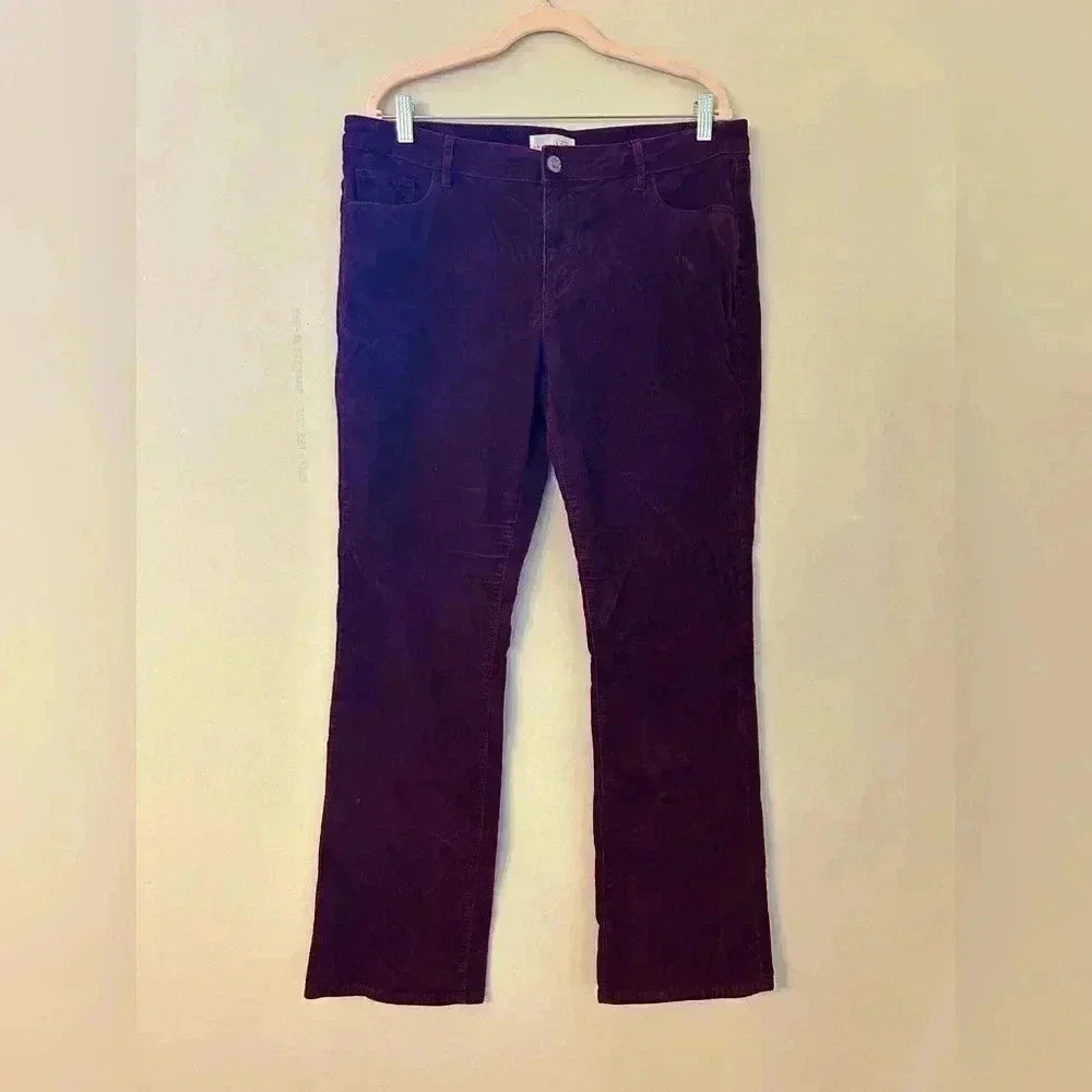 Loft Modern Boot Velvet Pants
Burgundy Size 32/14